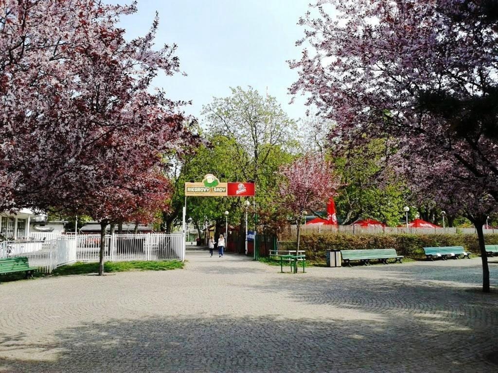 Modern Apartment Riegrovy Sady Prága Kültér fotó